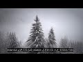 Chapter 39 The Groups Soul Touching Quran Recitation 90 Language Subtitles Divehi