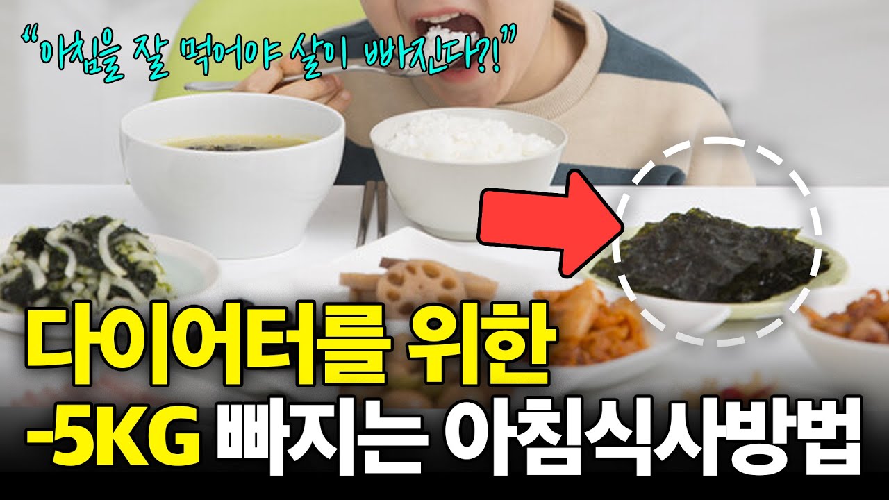 드림핏 유튜브