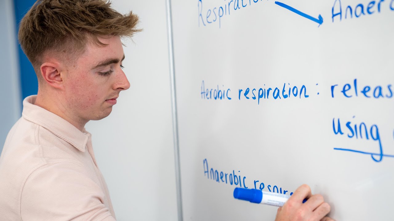 Leaving Cert Biology Exam Tips | Study Hub | RTÉ #leavingcert #examtips