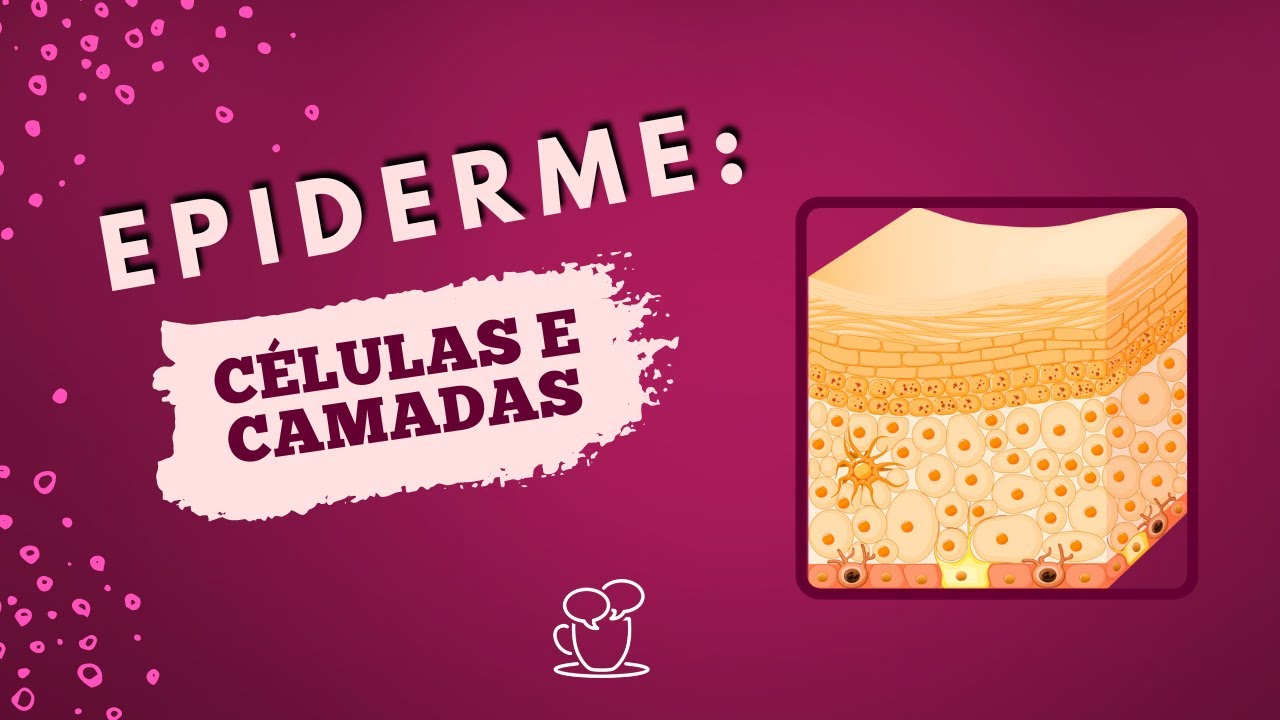 Conhecendo as células da epiderme e suas camadas
