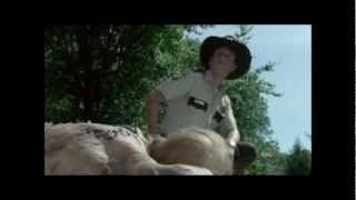 Misfits - Night Of The Living Dead (The Walking Dead)