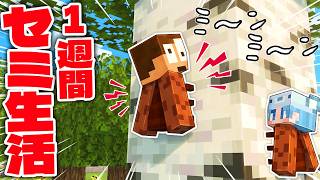 セミになって1週間の人生を体験してみたｗｗ【マインクラフト】