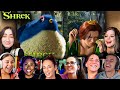 TOP Princess Fiona Pop S The Bird Reactions Shrek 2001 Movie Reaction First Time Watching