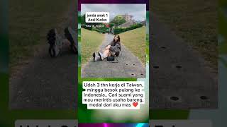 Download lagu AKU JNDA GK PNYA AN4K CRI SUAMI mp3