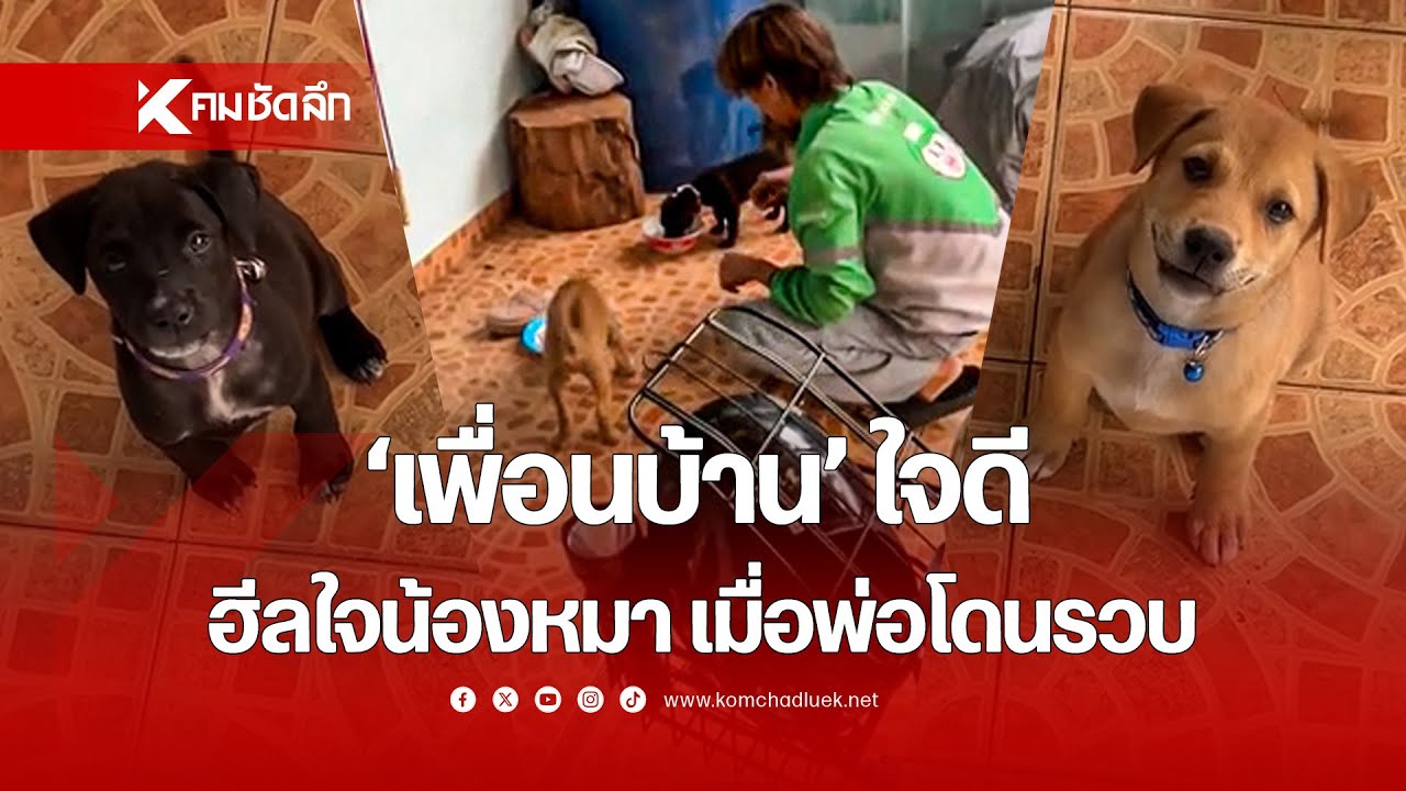 'เพื่อนบ้าน' ใจดี ฮีลใจน้องหมา เมื่อพ่อโดนรวบ