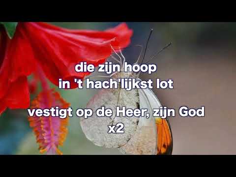 Opwekking 221 prijst de Heer met blijde galmen