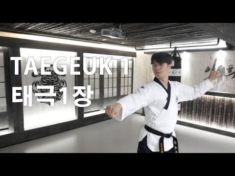 Poomsae taegeuk 1 jang 품새 태극 1장