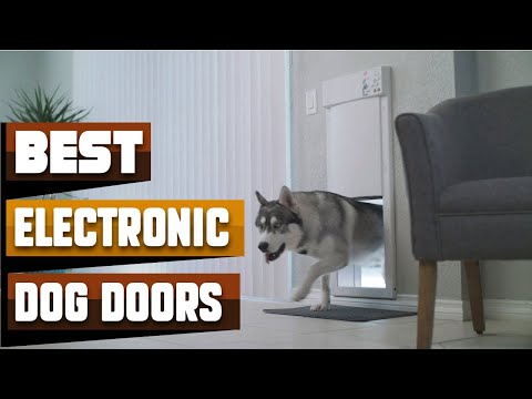 Most Amazing  Electronic Dog Doors in 2024