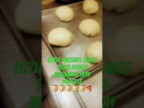 Little Caesars Large Pizza Dough Beginning Tray Process 🍞🍞🍞🍞🍞🍕