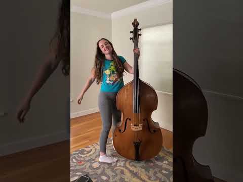 A living room bluegrass tune on upright bass