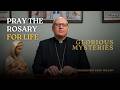 Rosary For Life Glorious Mysteries Pray For The Elderly And Vulnerable Archbishop John