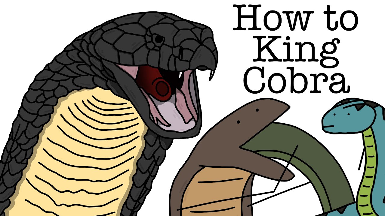 Your Life as a King Cobra