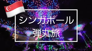 シンガポール２泊弾丸旅(2)ガーデンバイザベイライトショー