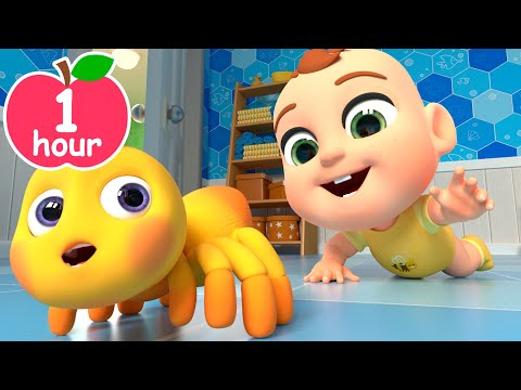 Itsy Bitsy Spider Song | Newborn Baby Songs & Nursery Rhymes