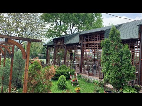 Pensiune Restaurant Rustic Rm Sarat, Rîmnicu Sărat, Romania