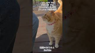 天気が良ければ、外に出よう!! #韓国vlog