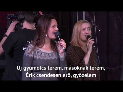 Most nem sietek - 2019  -  2