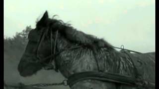 Liskopallo - Alamaailman Vasarat (The Turin Horse)