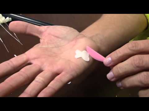 Mulher.com 02/08/2013 Alessandra Assi - Orquidea Oncidium Sharry Baby P 1/2