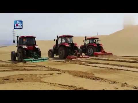 Rural Chinese Farmers