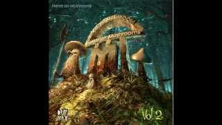 Nerds On Mushrooms (feat. Pegboard Nerds)
