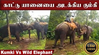 Download lagu காட்டு யானையை ஓடவிட்ட கும்கி... | Kumki Vs Wild Elephant Fight | Elephant Fight Latest mp3 Download lagu காட்டு யானையை ஓடவிட்ட கும்கி... | Kumki Vs Wild Elephant Fight | Elephant Fight Latest mp3