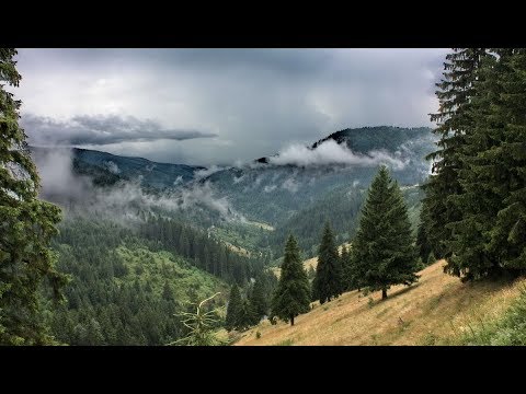 A magyaroké Hajnali, csárdás és szapora (Kalotaszegi táj.) (szöveggel)