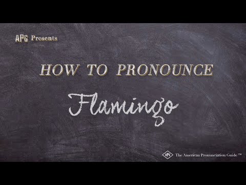 How to Pronounce Flamingo (Real Life Examples!)