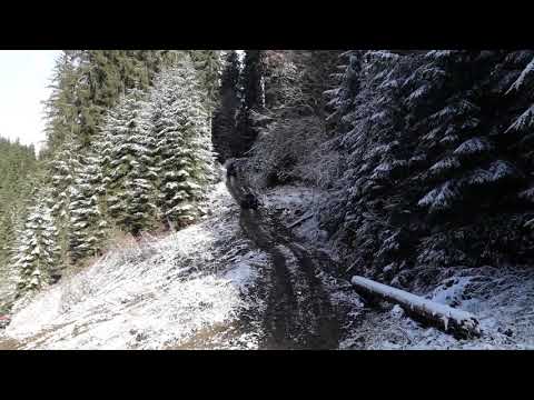 Rumunsko Perla Padurii 15