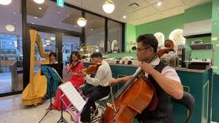 Download lagu 愛の挨拶 Salut d'amour♪エルガー作曲 Elgar mp3 Download lagu 愛の挨拶 Salut d'amour♪エルガー作曲 Elgar mp3