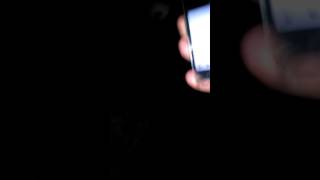 Eating chilli with night owl