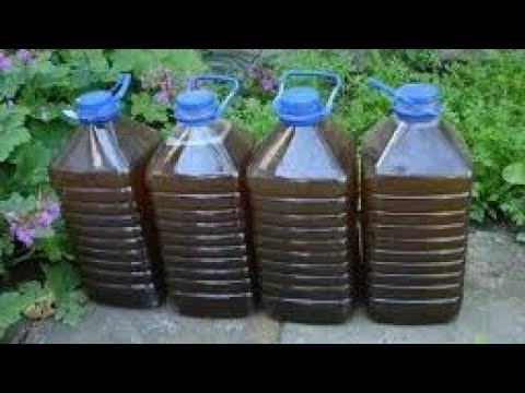 Here's how to make organic liquid fertilizer from fruit and vegetable scraps