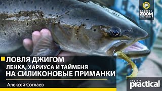 На какие приманки ловят зимой ленка