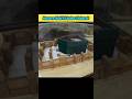 Hamare Nabi Ki Qabar Mubarak Shorts Shorts