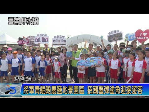 將軍青鯤鯓扇鹽地景園區 招潮蟹彈塗魚迎接遊客