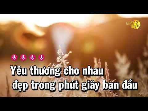 Karaoke Đoạn Tuyệt Tone Nam Gm Nhạc Sống Rumba