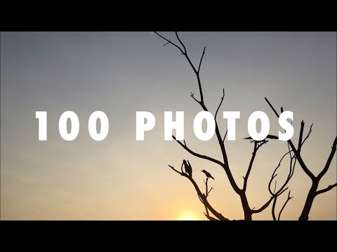 I Took 100 Photos In A Day