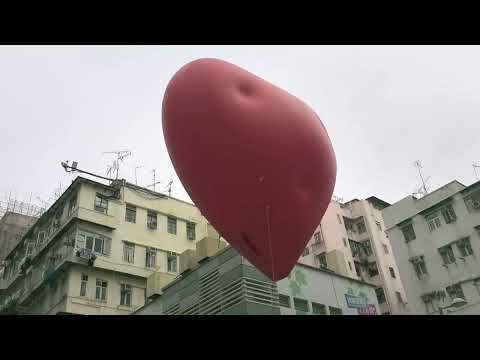 Chubby Hearts  Hong Kong 14-24 Feb 2024 - Sham Shui Po