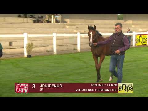 Show Aqps Ouest 2019 : Lot 3 - JDIJIDENUO