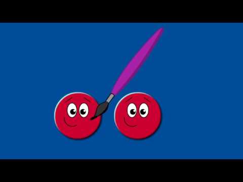 Shaping Up - Learn With ducktv | ducktv