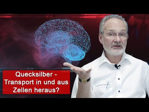 Quecksilber-Transporter: Wie Hg in die Zellen gelangt und diese wieder verlässt - Geführte Recherche
