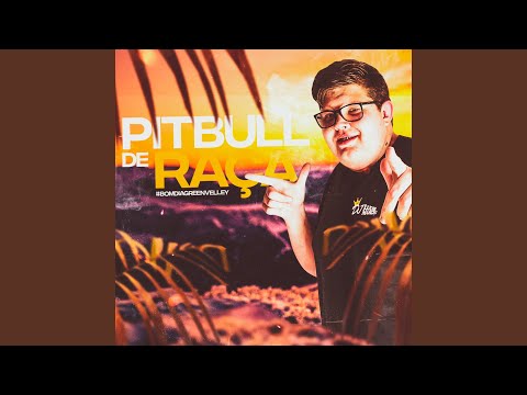 Mega Funk - Pitbull De Raça