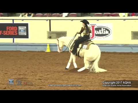 2017 AQHYA Reining