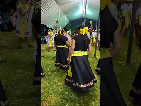 Arrieras San José Amanalco Texcoco Edomex | #tradiciones