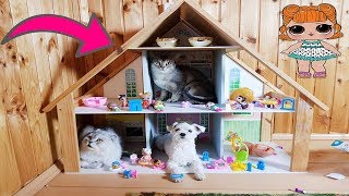 СТРОИМ БОЛЬШОЙ ДОМ ДЛЯ ВСЕХ КУКОЛ ЛОЛ НА ДАЧЕ! СЛАДУН, КЕВИН, БИЛЛИ И АРИЕЛА