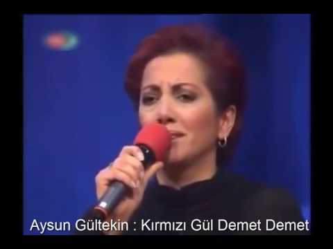 AYSUN GÜLTEKİN : KIRMIZI GÜL DEMET DEMET