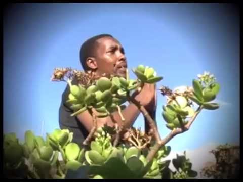 Nahshon Maina - Baba Njuhigia (Official Video)