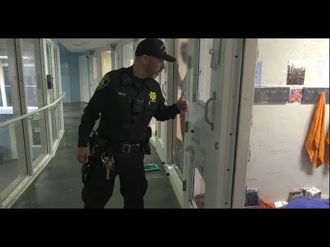 SFSO IS LOOKING FOR YOU