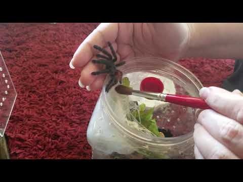 Amazing First! 5-5-2019