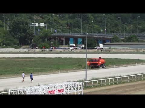 3.7.2022 Trka II - KAFE POČASNA TRIBINA - Hipodrom Beograd